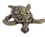 Turtle (Sea)